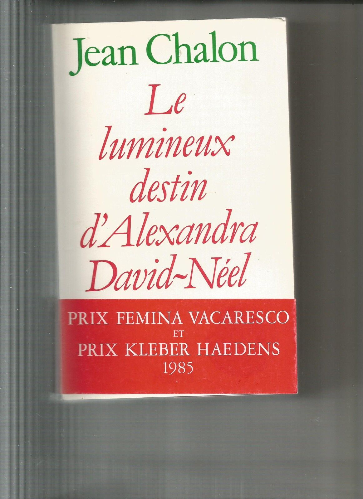 LE LUMINEUX DESTIN DALEXANDRA DAVID NEEL