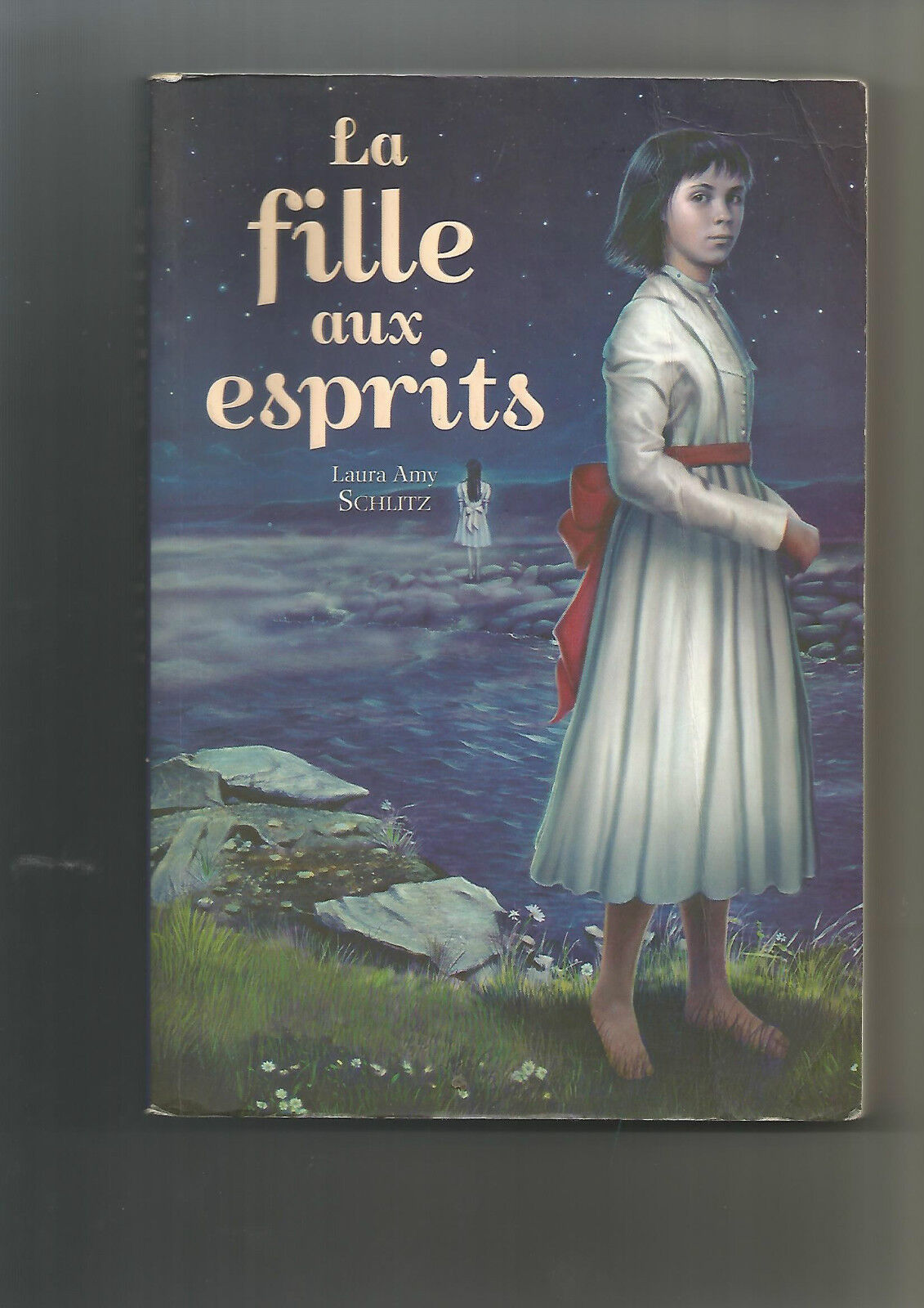 La fille aux esprits de Laura Amy Schlitz