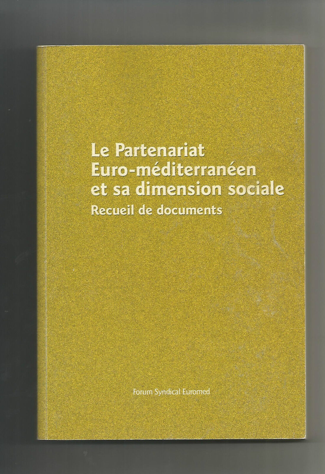 Le Partenariat Euro-méditerranéen et sa dimension sociale