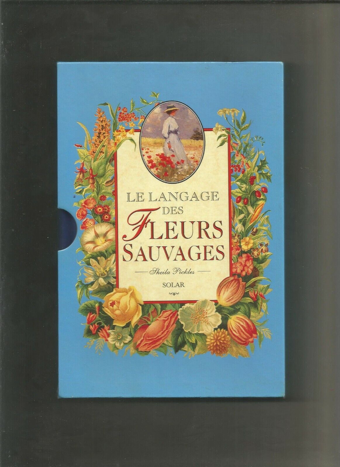 LIVRE  LE LANGAGE DES FLEURS SAUVAGES  SHEILA PICKLES