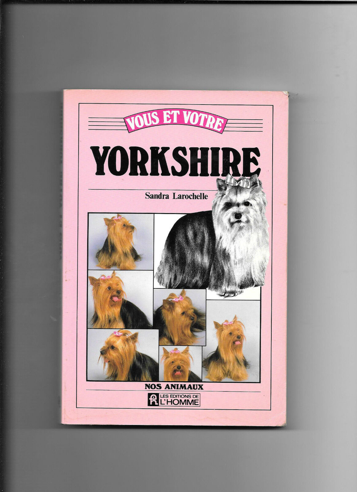 Vous et votre Yorkshire  Sandra Larochelle