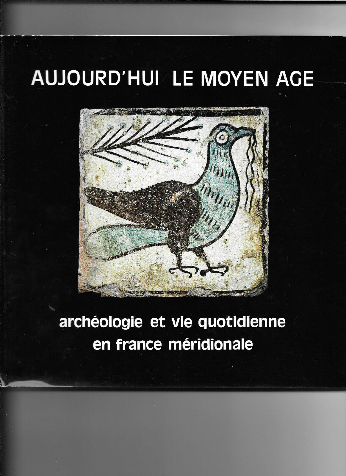 Aujourd'hui le moyen age - Archéologie et vie quotidienne en France méridionale