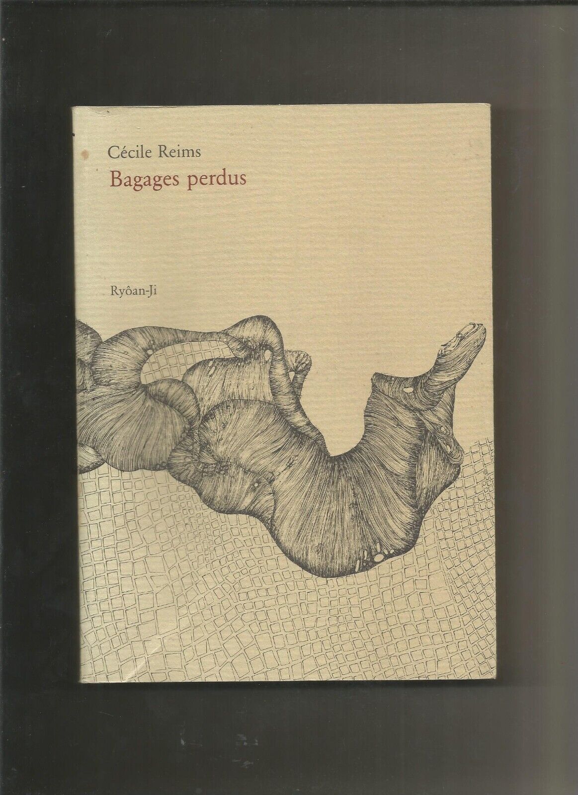 Bagages perdus - Cécile Reims