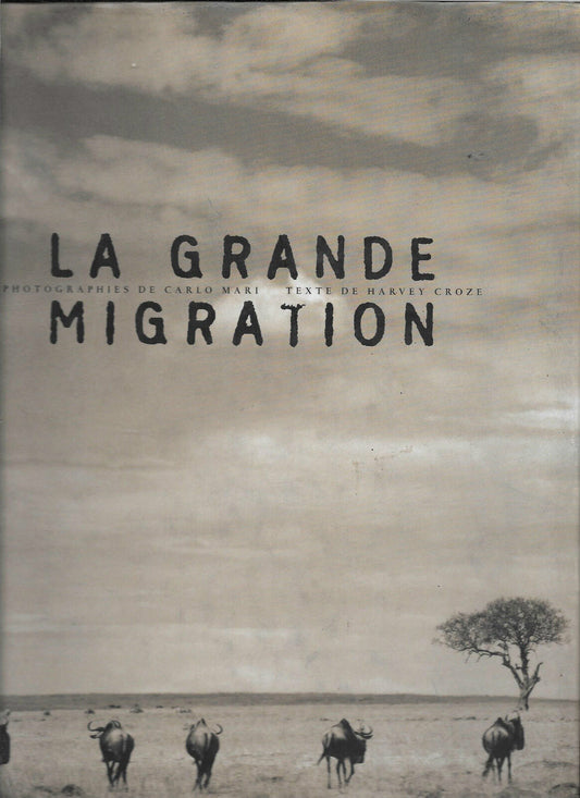 La grande migration  Carlo MariHarvey Croze