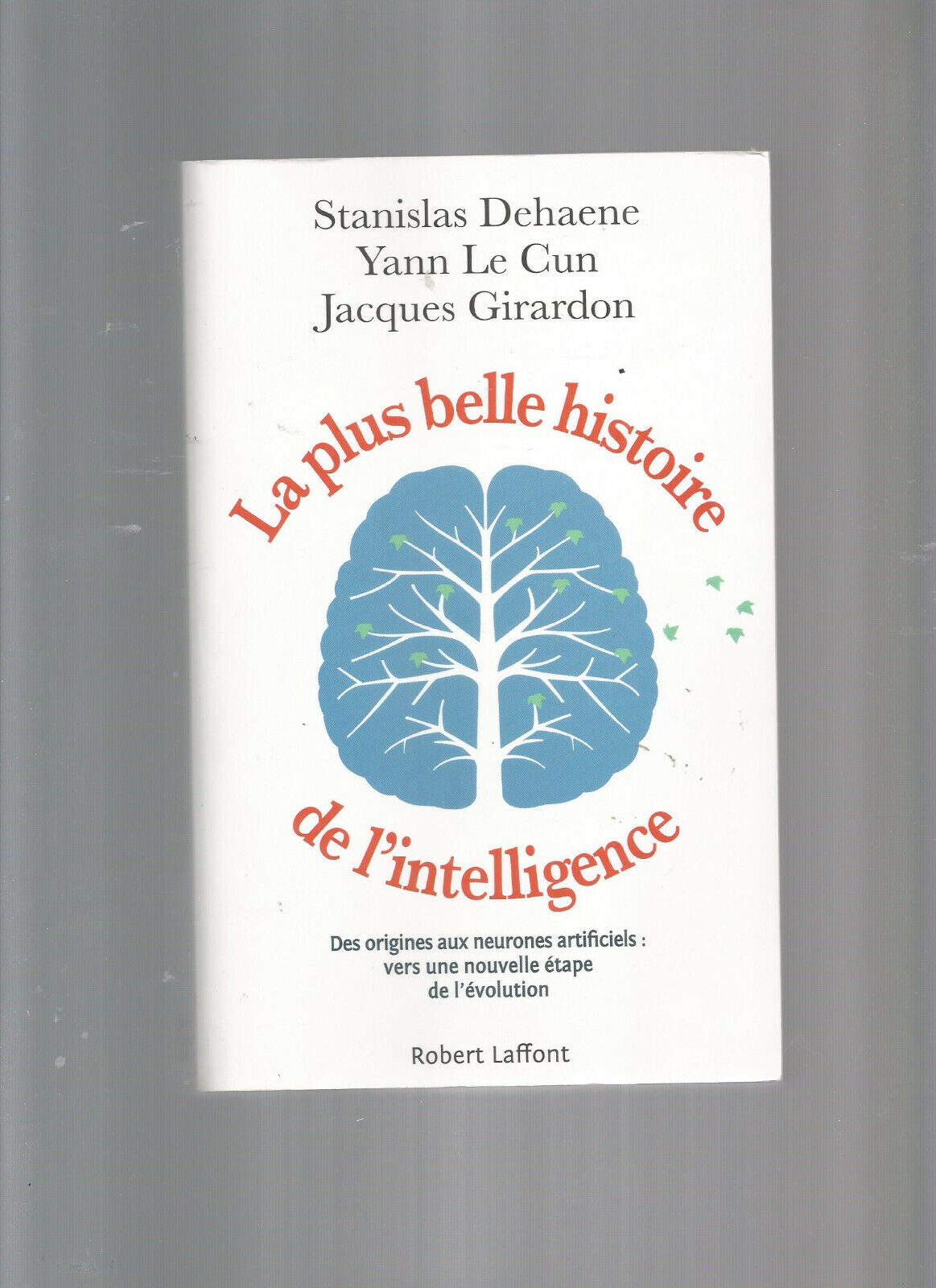 LA PLUS BELLE HISTOIRE DE LINTELLIGENCE