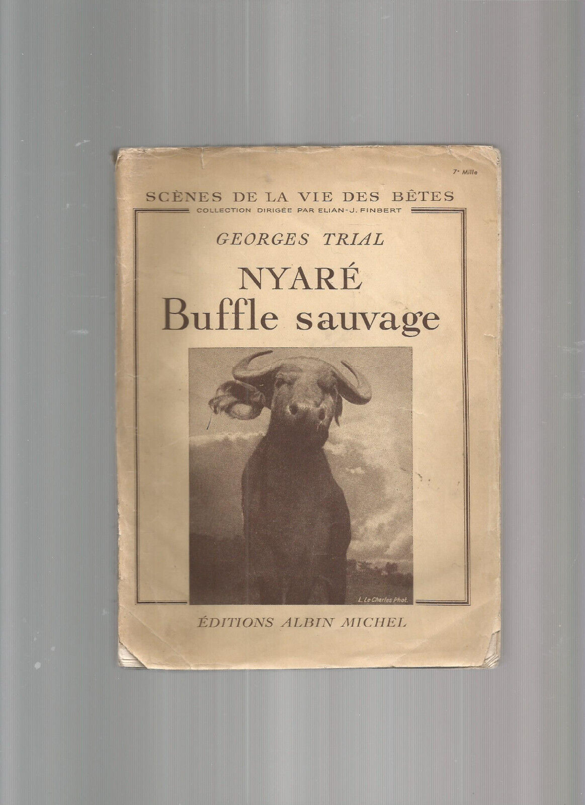 NYARE BUFFLE SAUVAGE