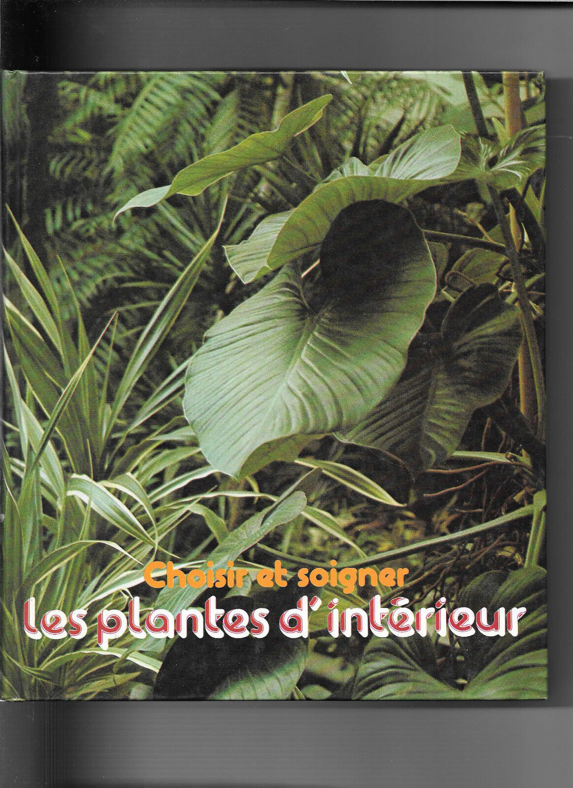 Choisir et soigner les plantes d'intérieur