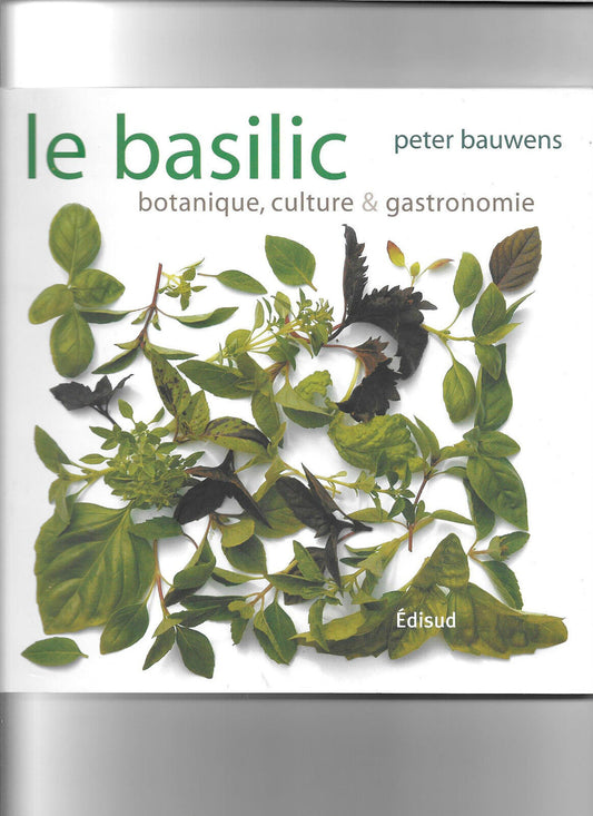 Le basilic  botanique culture et gastronomie  Peter Bauwens