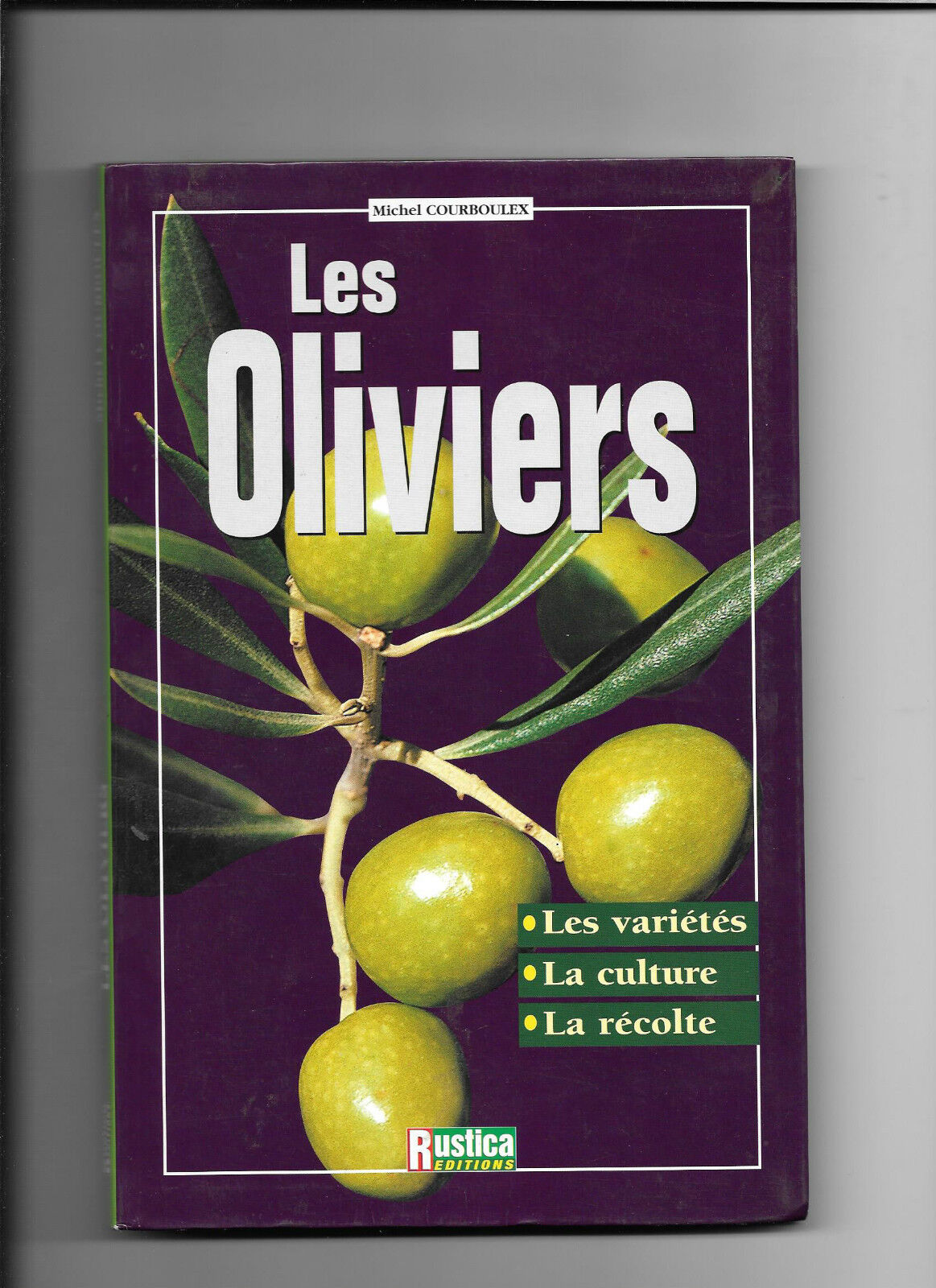 Les oliviers  Michel Courboulex