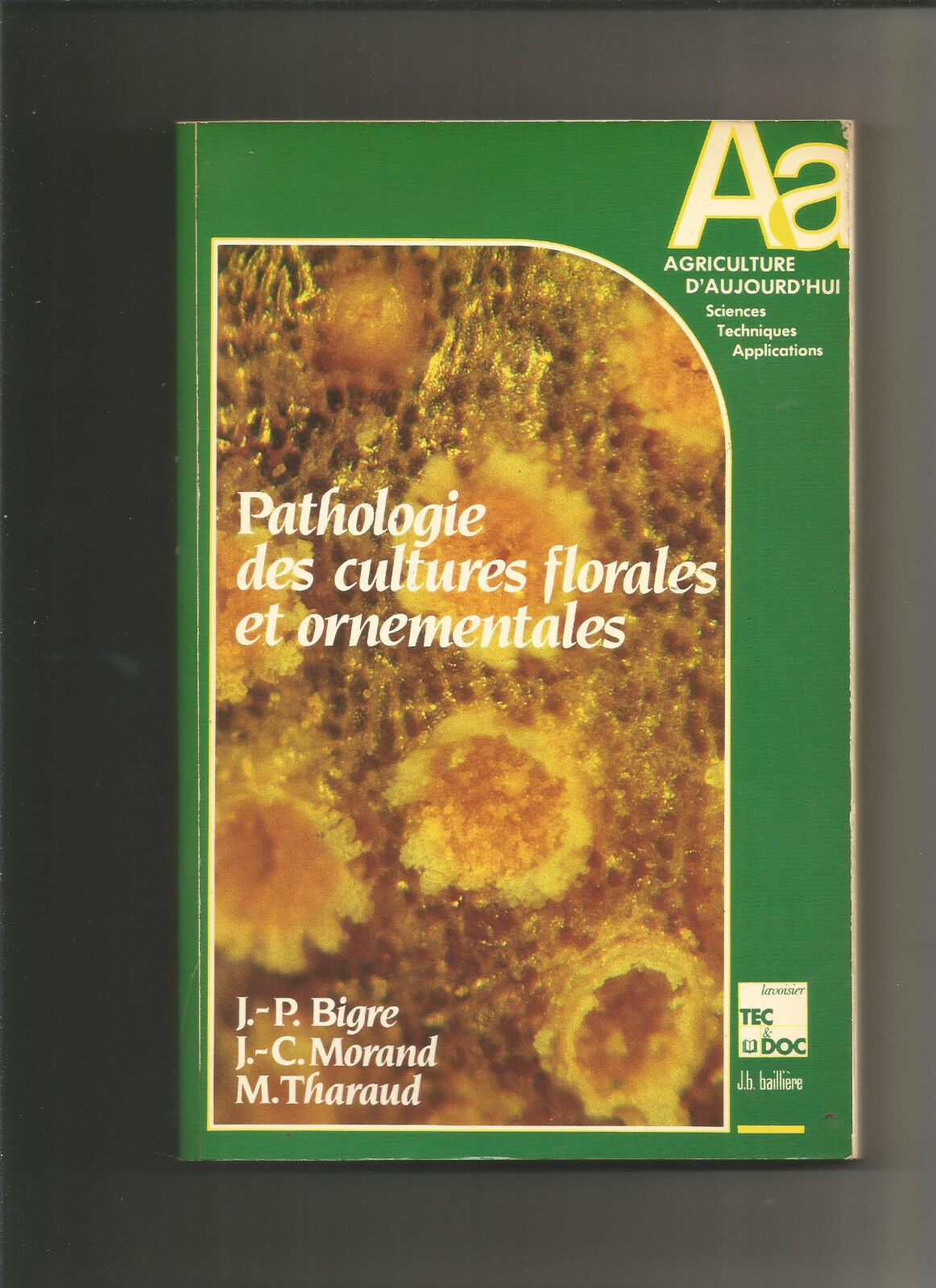 BIGREMORANDTHARAUD Pathologie des cultures florales et ornementales