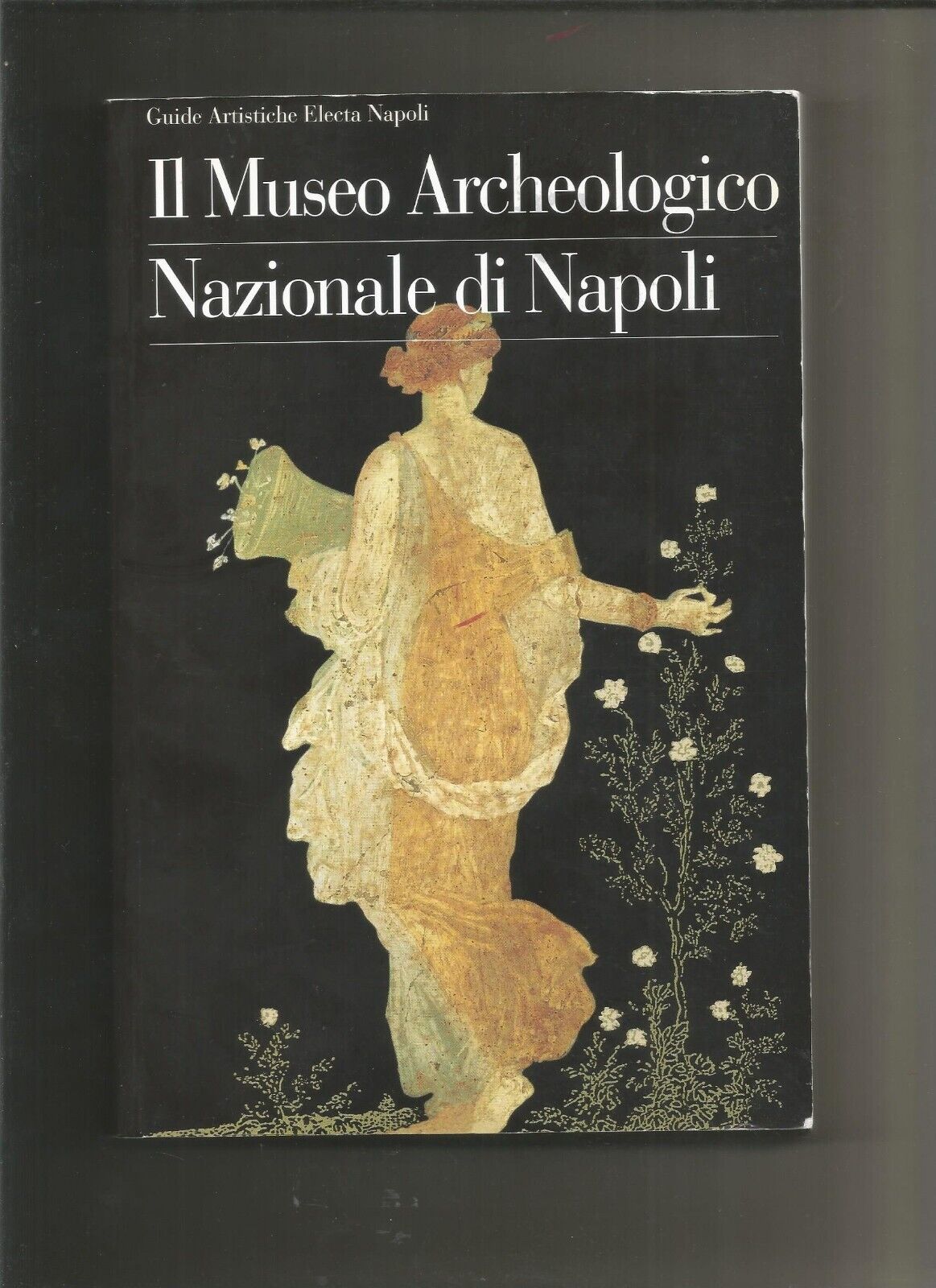 Il museo archeologico nazionale di Napoli