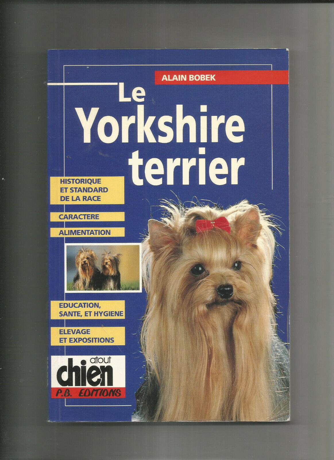 LE YORKSHIRE TERRIER