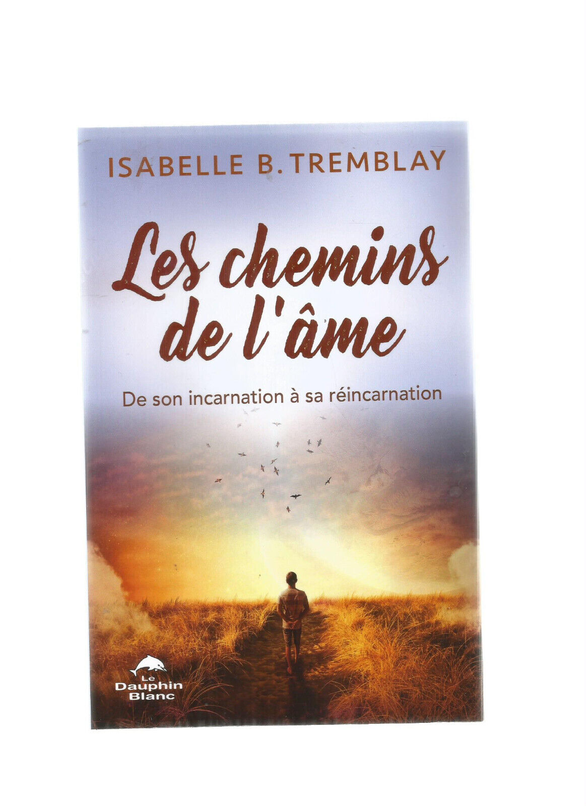 LES CHEMINS DE L'AME