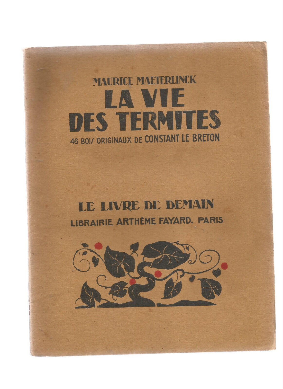 LA VIE DES TERMITES