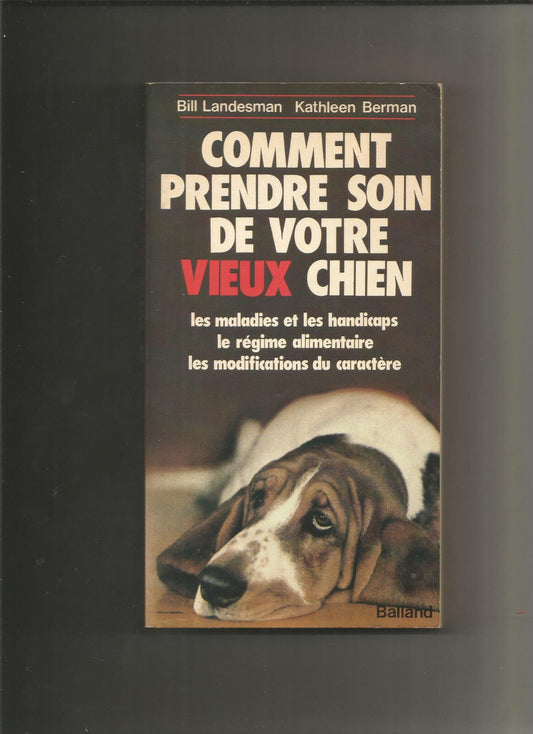 Comment prendre soin de votre vieux chien