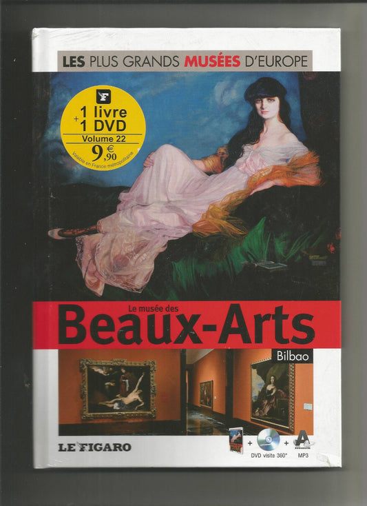 Musée des Beaux-Arts de Bilbao - Volume 22. Avec Dvd visite 360°.