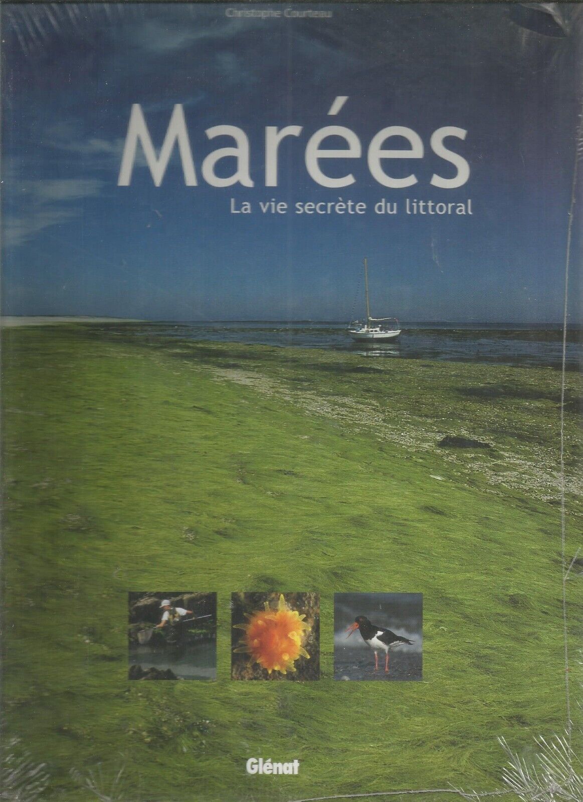 MAREES  LA VIE SECRETE DU LITTORAL  CHRISTOPHE COURTEAU  NEUF