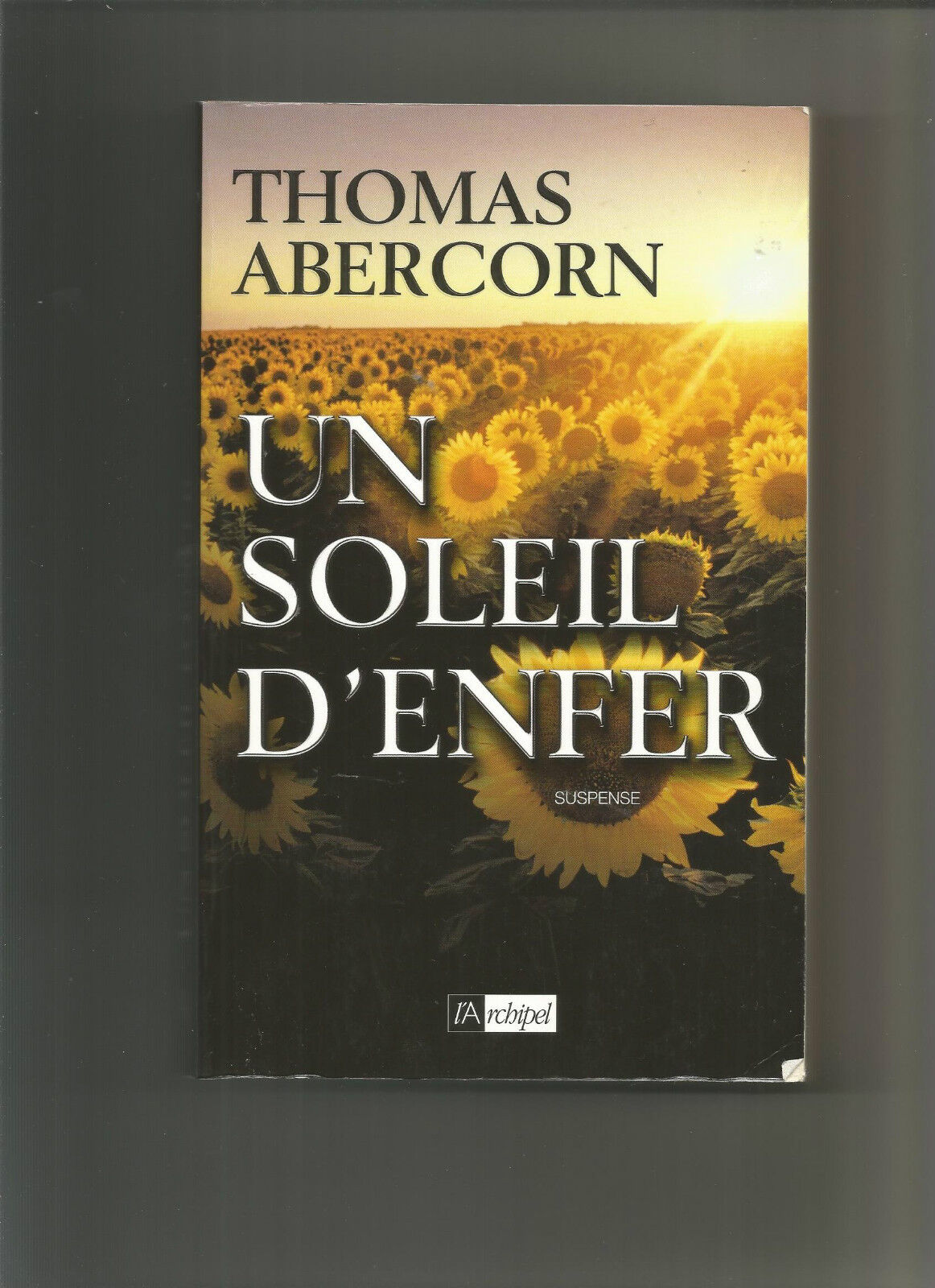 Un Soleil denfer  Thomas Abercorn