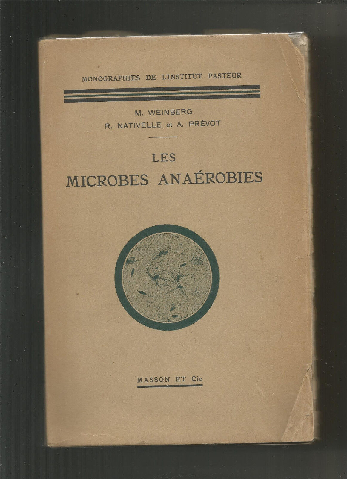 Les microbes anarobies  M Weinberg R