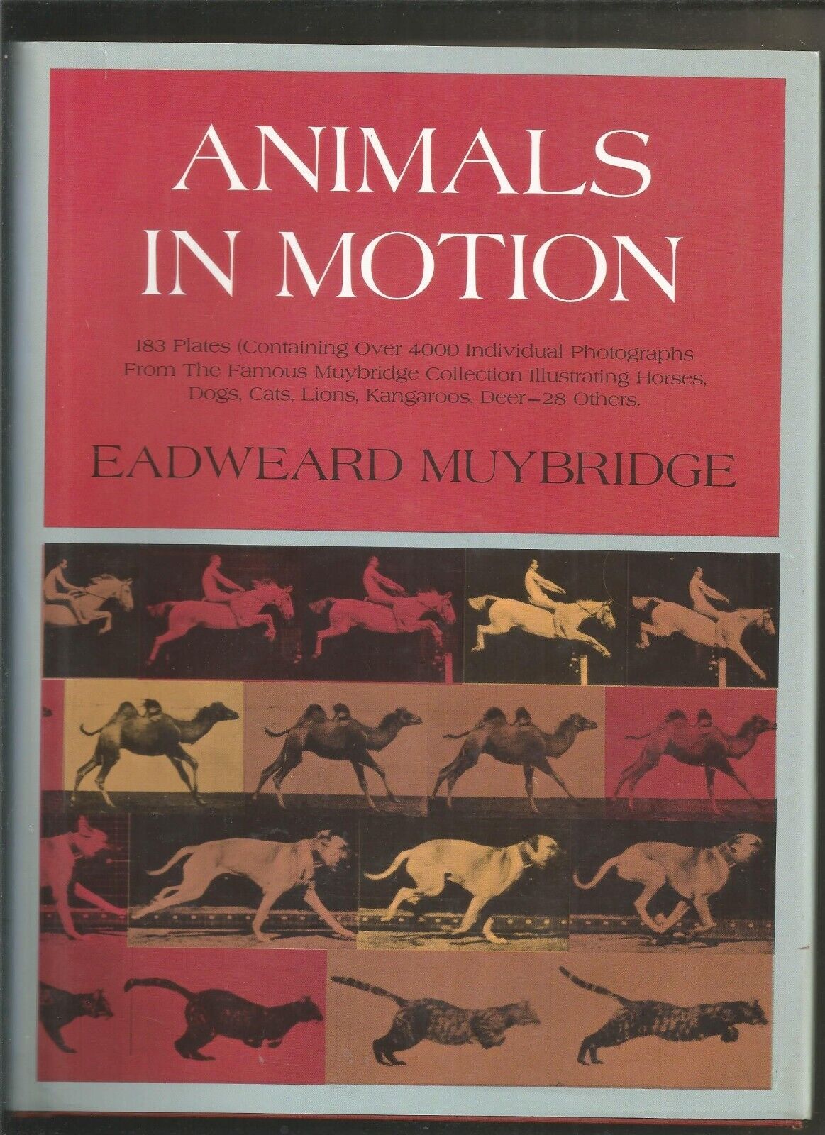 Animals in Motion