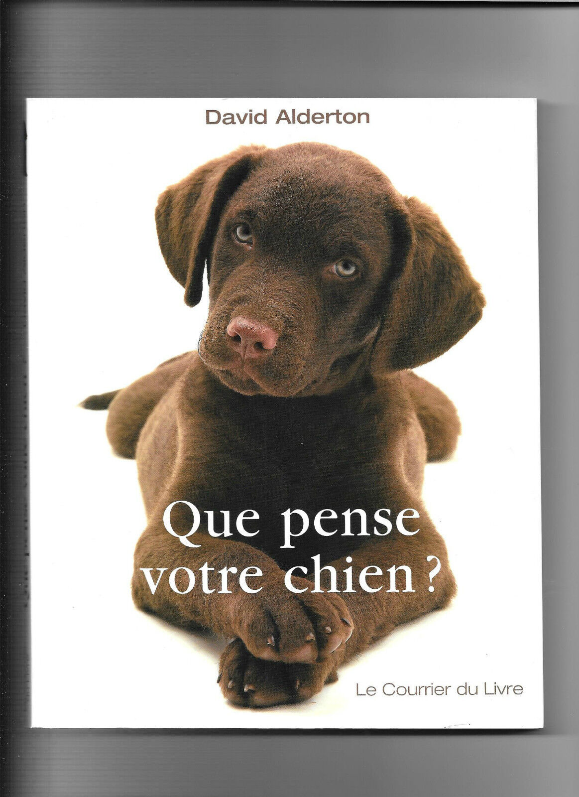 QUE PENSE VOTRE CHIEN