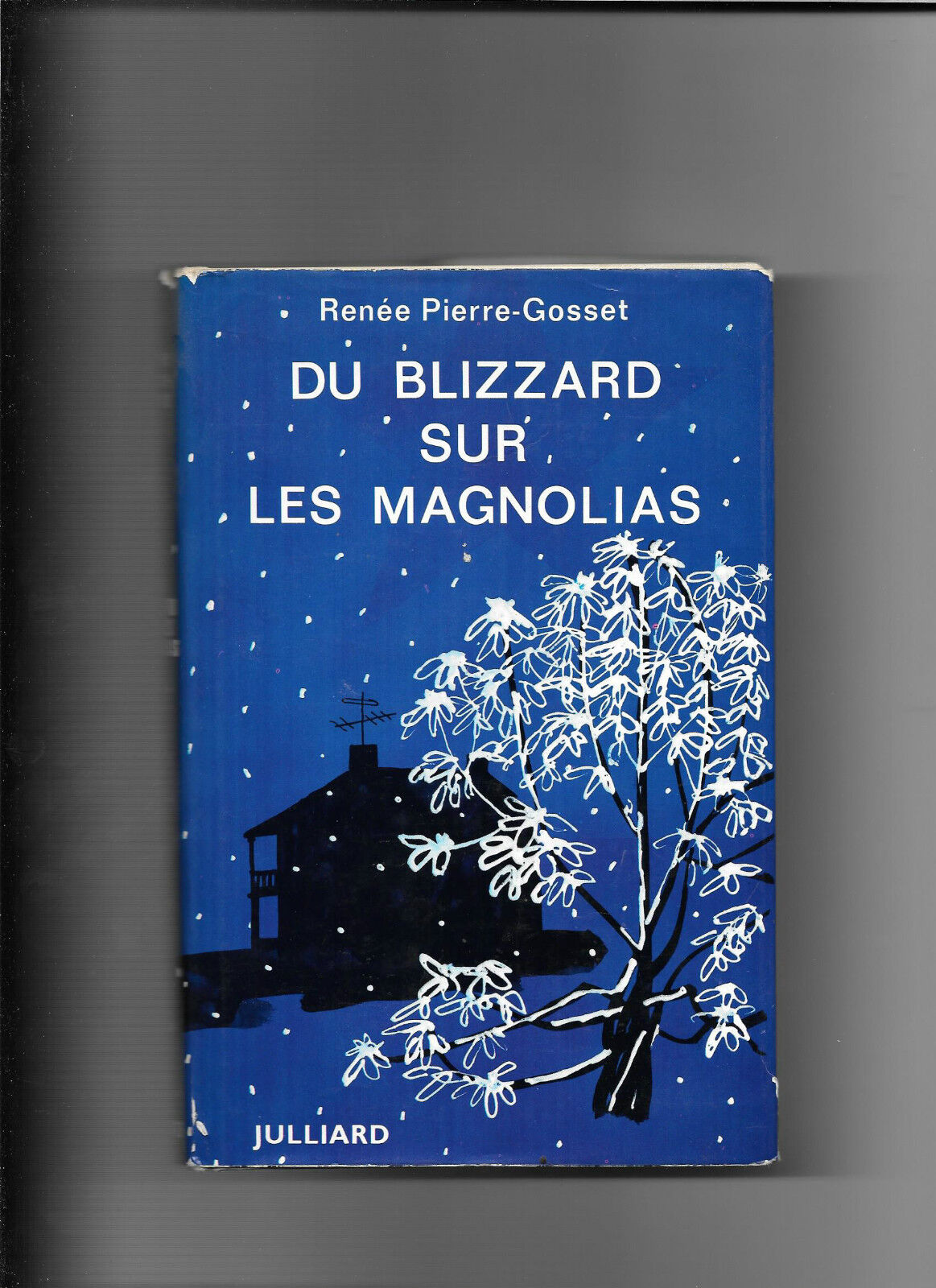 DU BLIZZARD SUR LES MAGNOLIAS