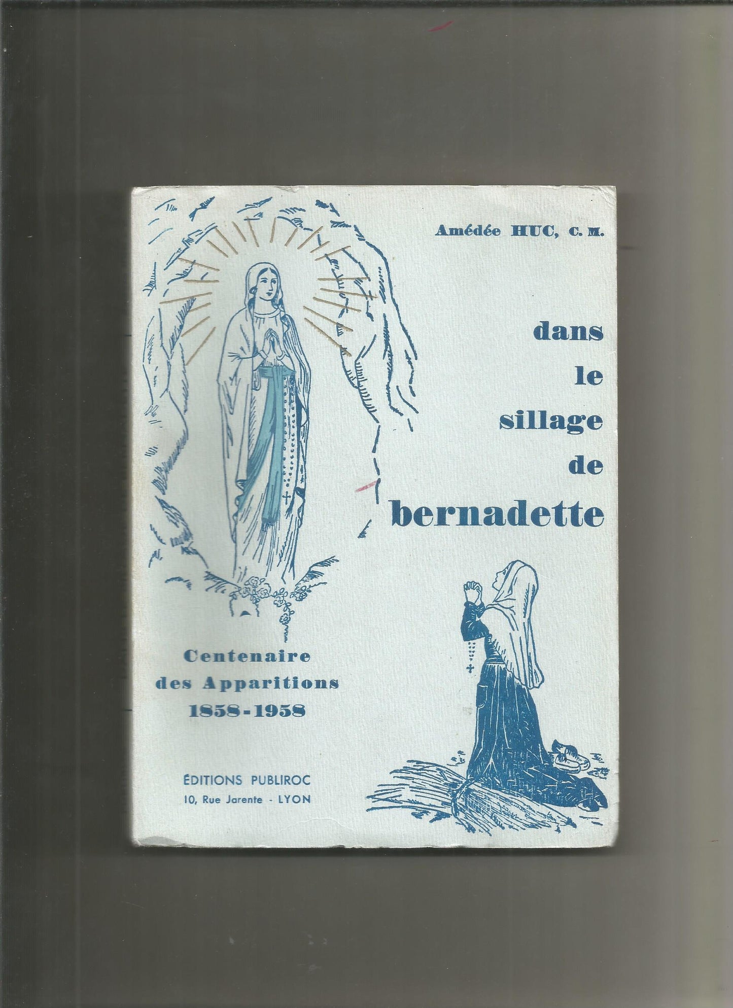 Dans le sillage de Bernadette - Amédée Huc