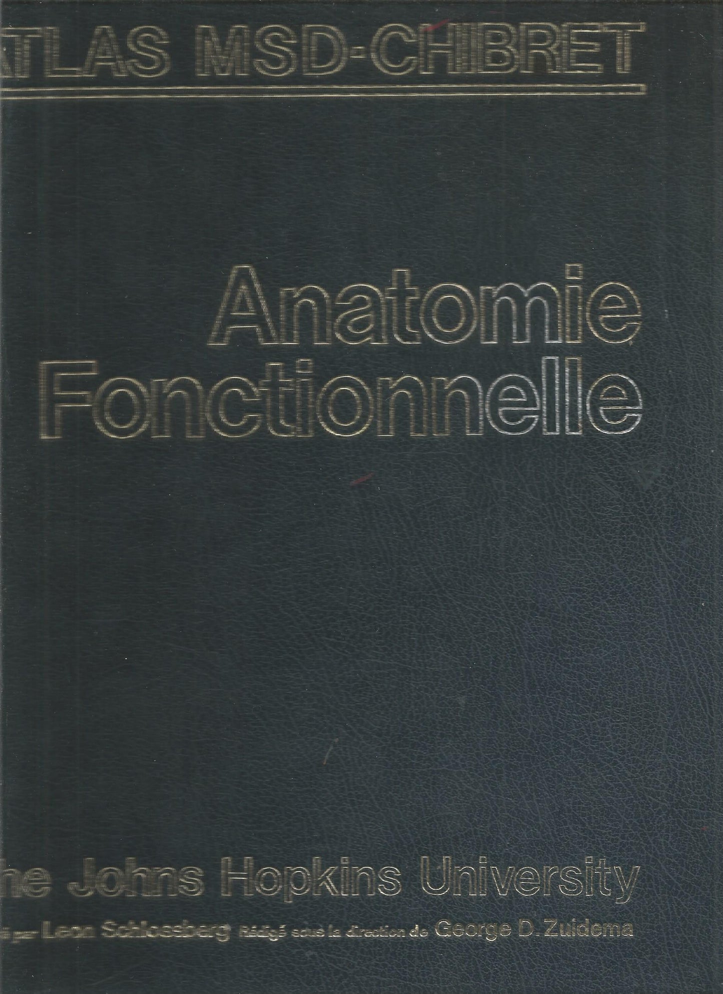 Anatomie fonctionnelle - The Johns Hopkins University