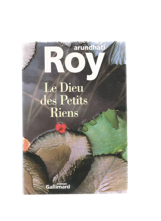 LE DIEU DES PETITS RIENS